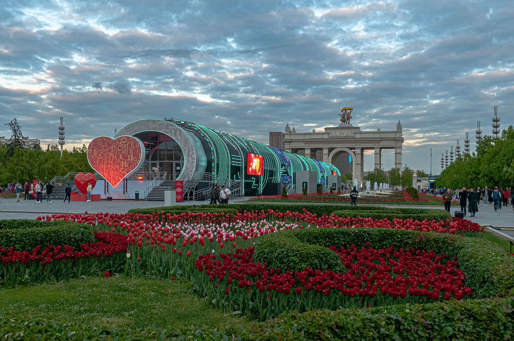 Photograph by Vladimir  Komarov