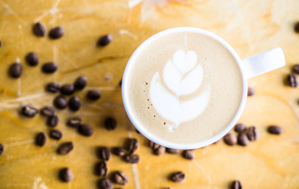 Фотография автора Василиса Новикова