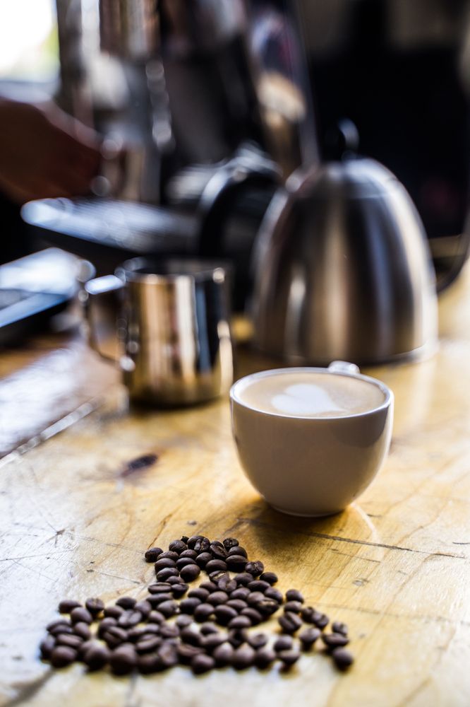 Фотография автора Василиса Новикова