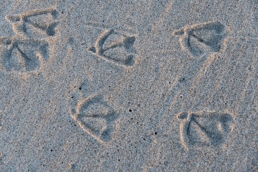 Photograph by Татьяна