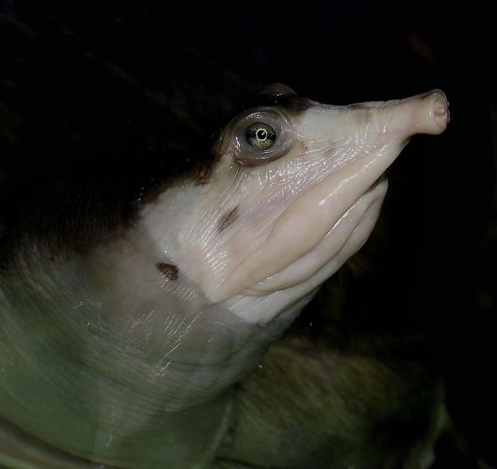 Удивительное-рядом!