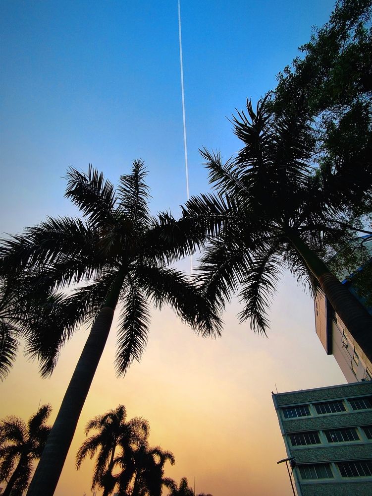 Фотография автора Debdutt Saha