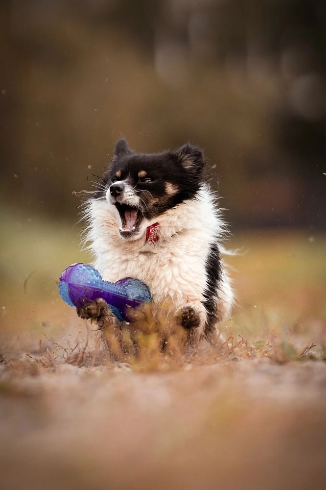 Photograph by Мария Романова