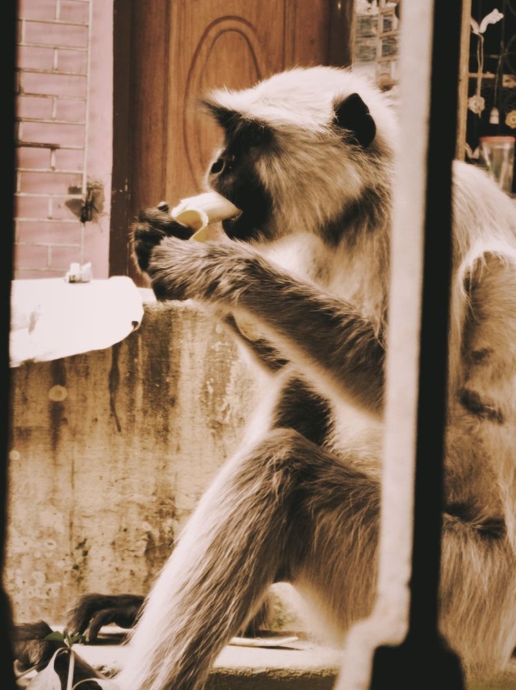 Фотография автора Debdutt Saha