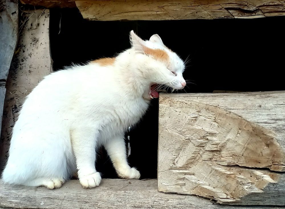 Photograph by Назмутдинова Сауия