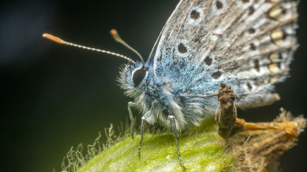 Photograph by Алексей Жариков