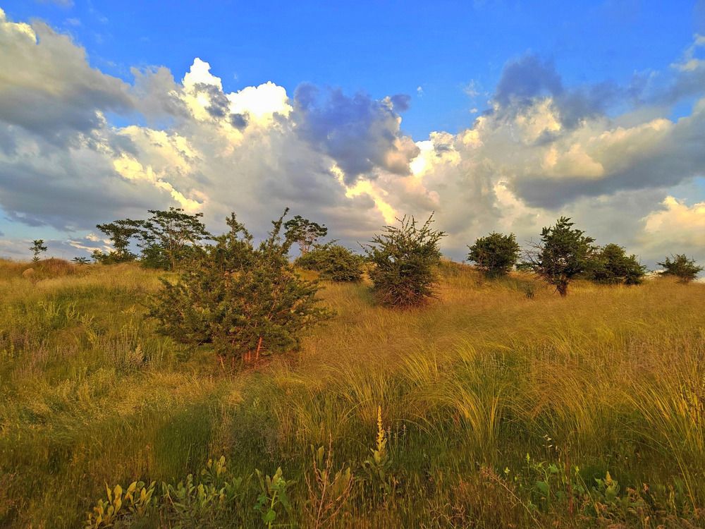 Фотография автора Вера,  Саша  Натан Фотогруппа ВЕСНА