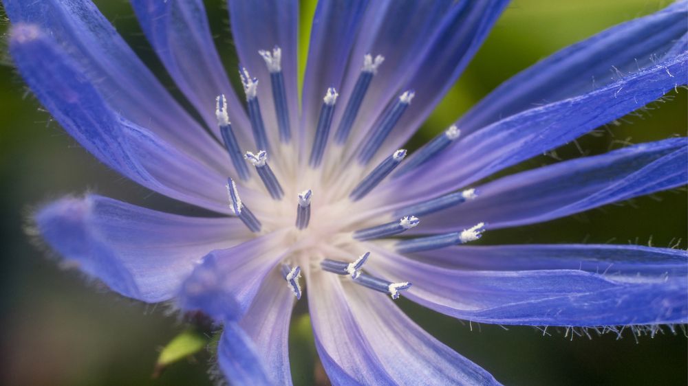 Photograph by Алексей Жариков