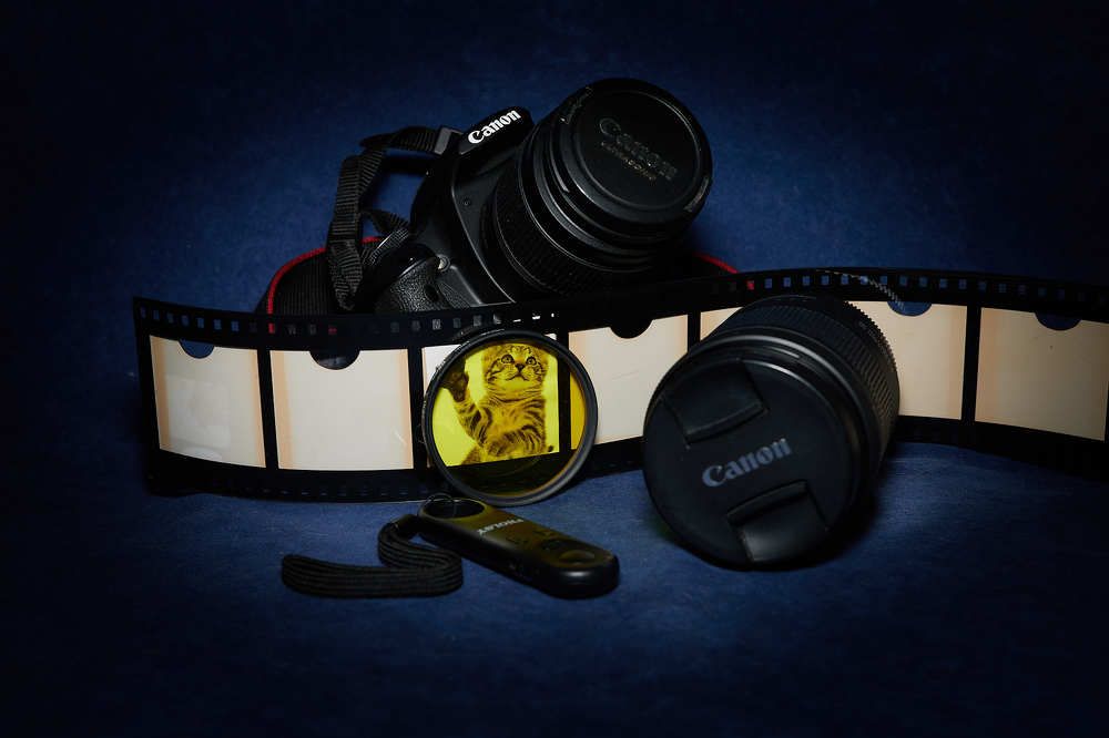 Фотография автора Ekaterina Palant