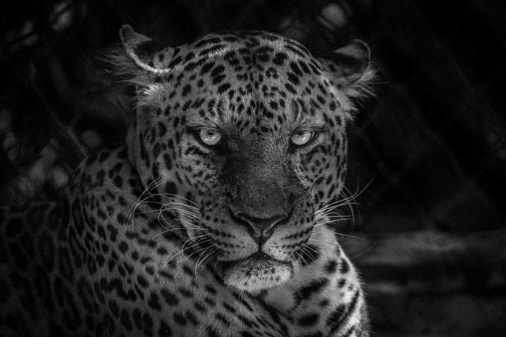 Photograph by Илана