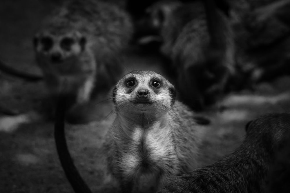 Photograph by Илана