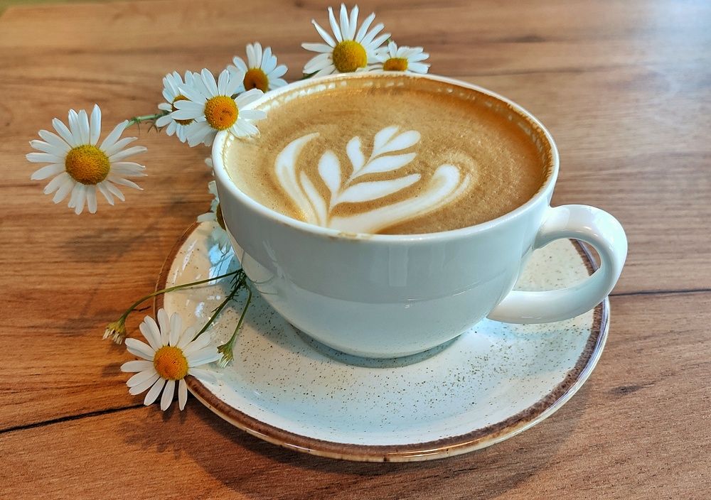 Photograph by Хоменчук Людмила