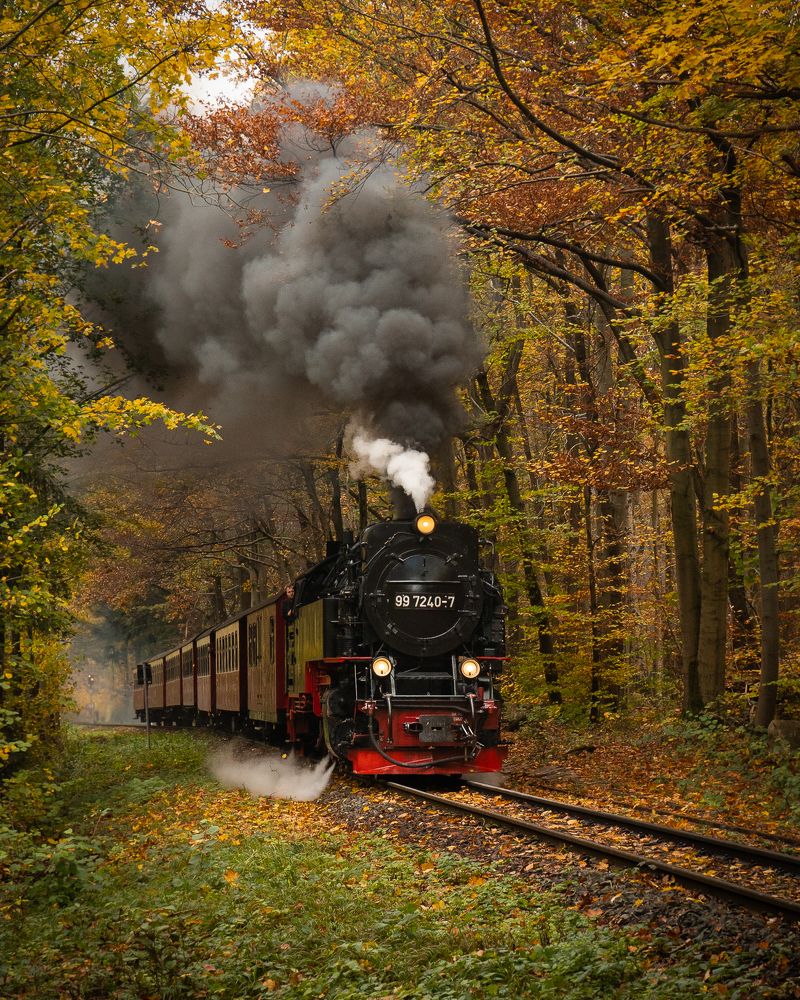 Train to autumn