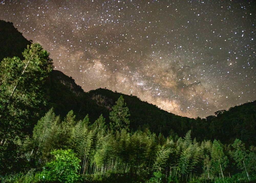 Photograph by Nguyen Thi Chieu Xuan