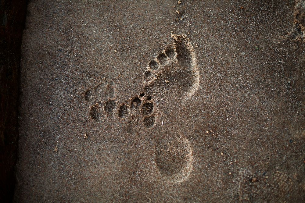 Photograph by Татьяна Степанова