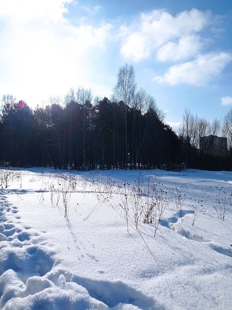 Photograph by НИНА АВЕРЬЯНОВА