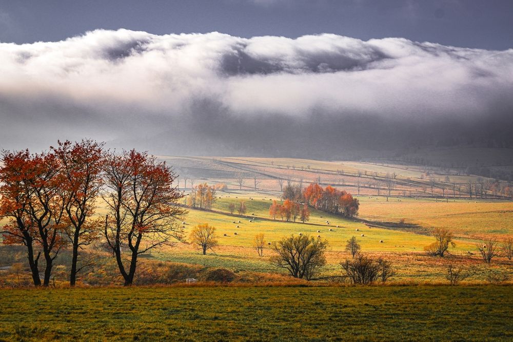 Фотография автора Lataja