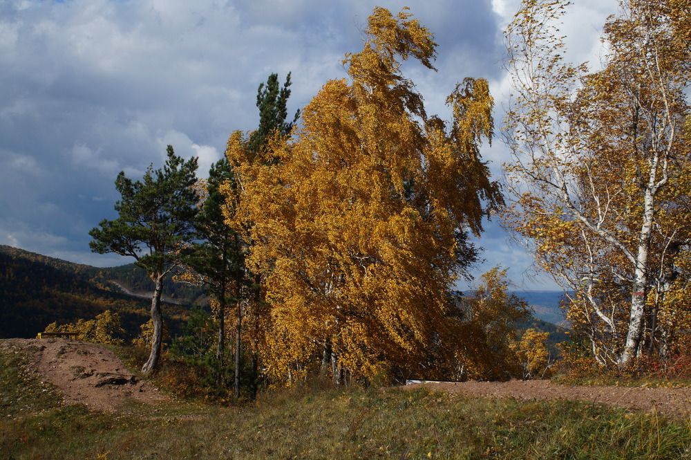 Photograph by Владимир Семиченко