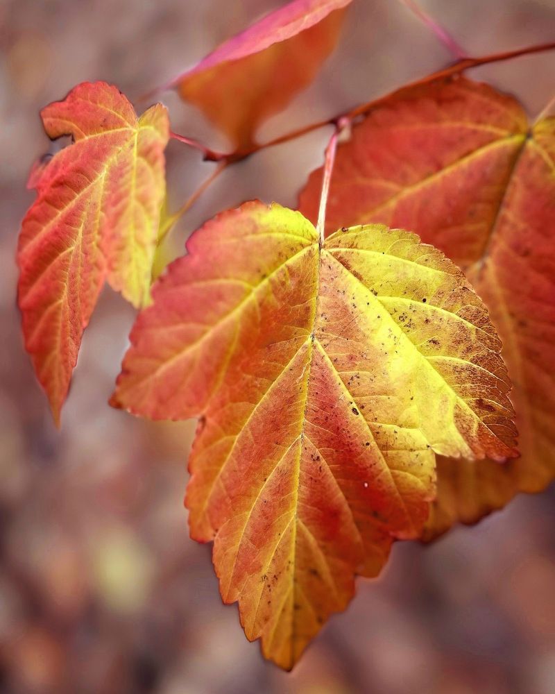 Photograph by Татьяна Волохова