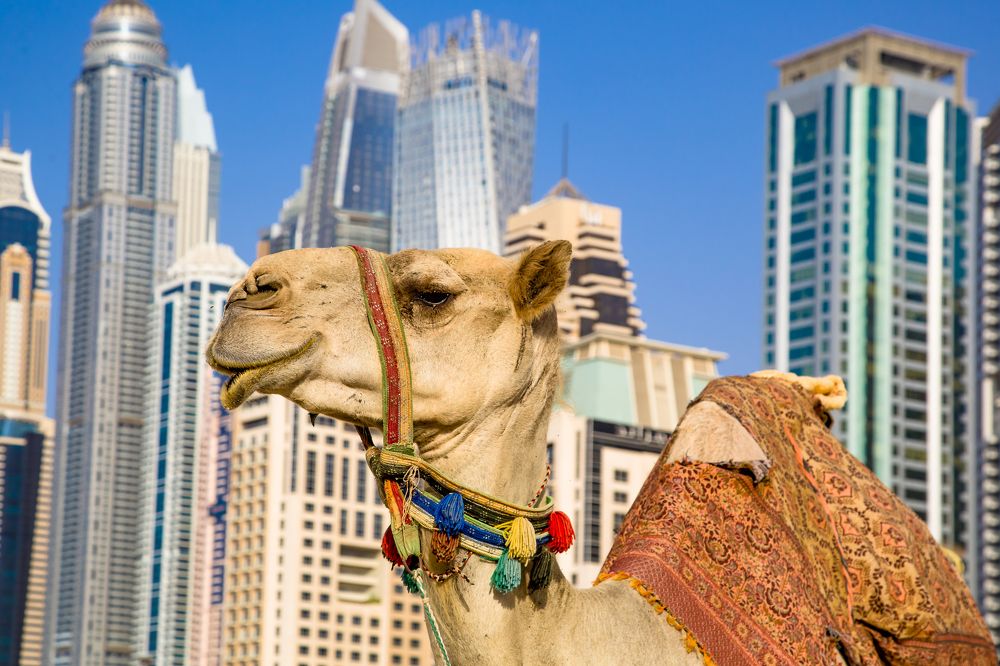 Photograph by Владимир Говоров