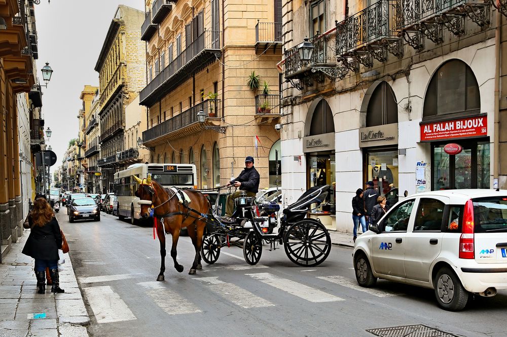 Photograph by Владимир Говоров