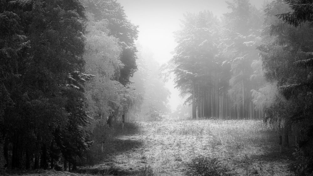 Photograph by Вадим Басов