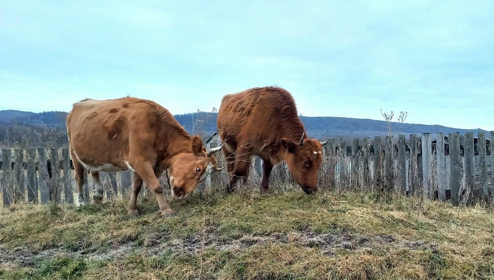 Photograph by Назмутдинова Сауия