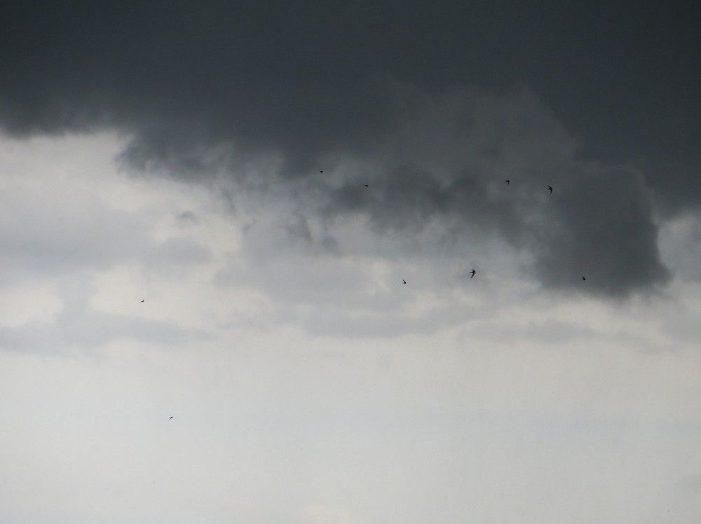 Photograph by Татьяна Поминова