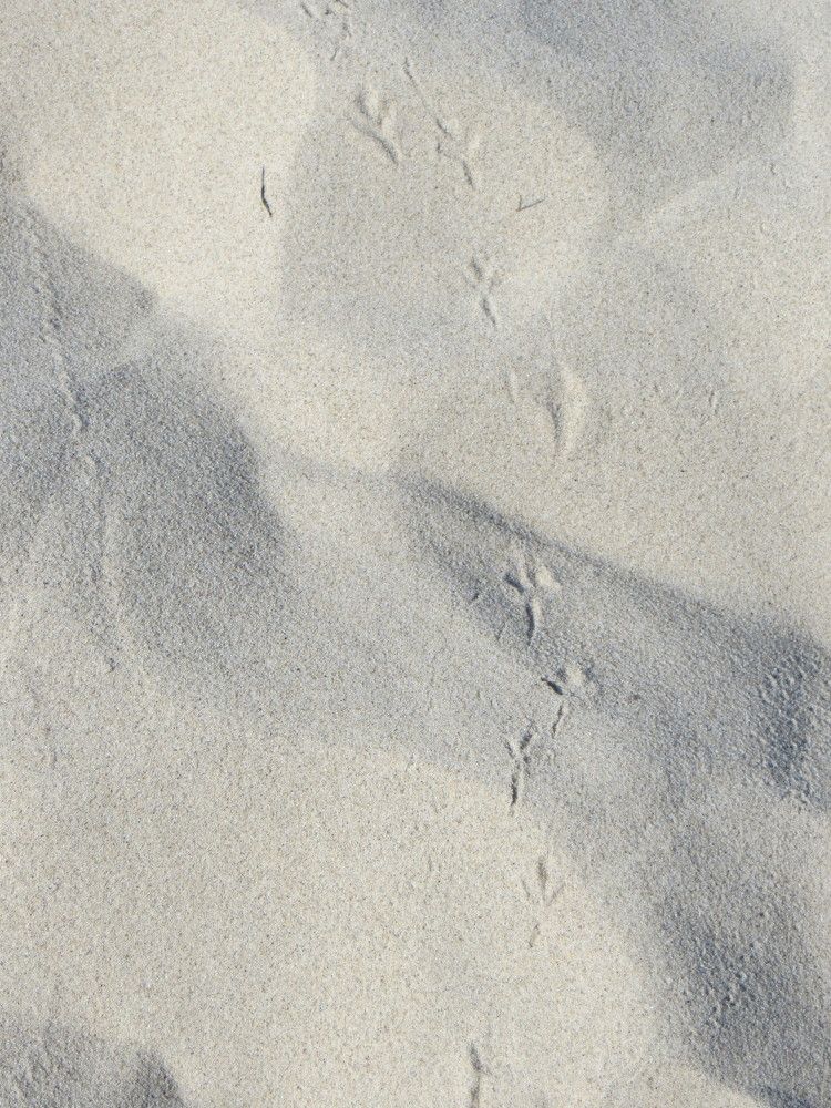 Photograph by Татьяна Поминова