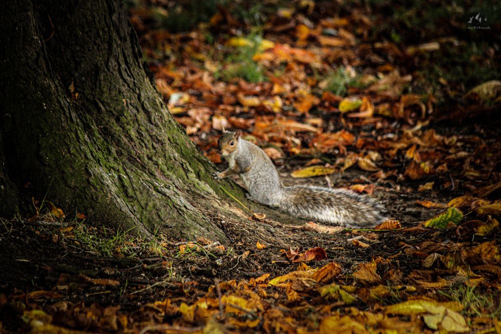 Photograph by Agnieszka Mika