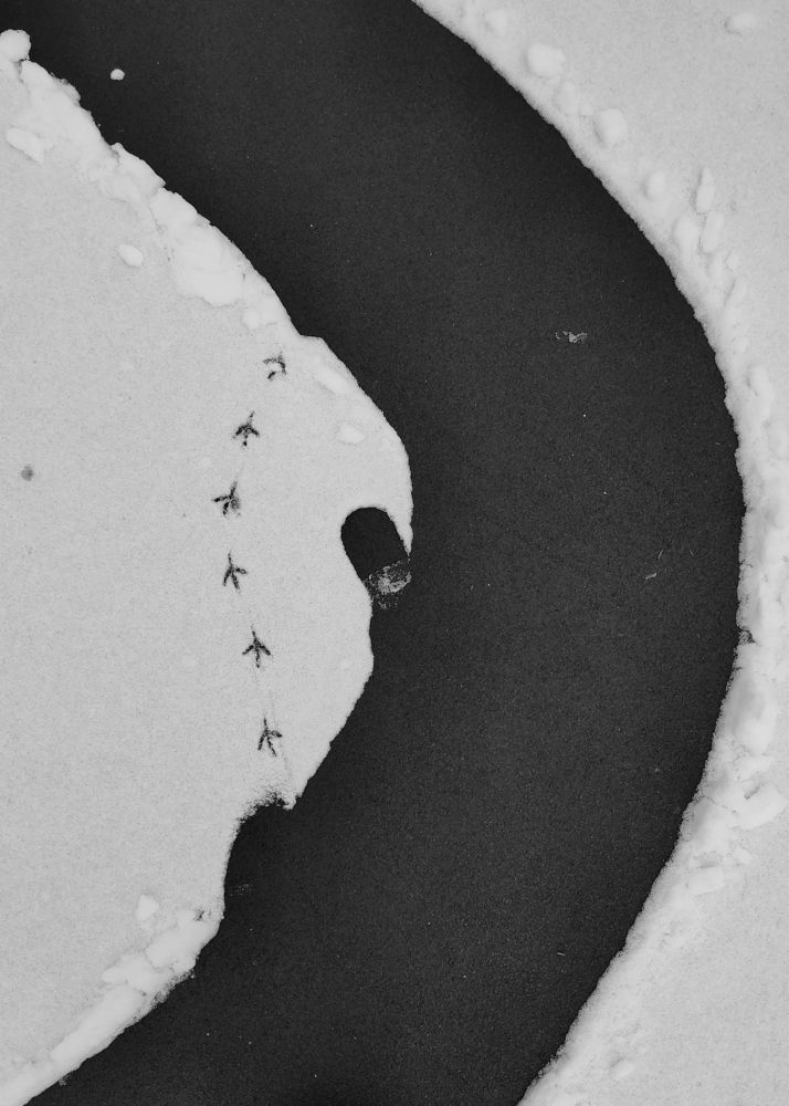 Photograph by Татьяна Аршинова