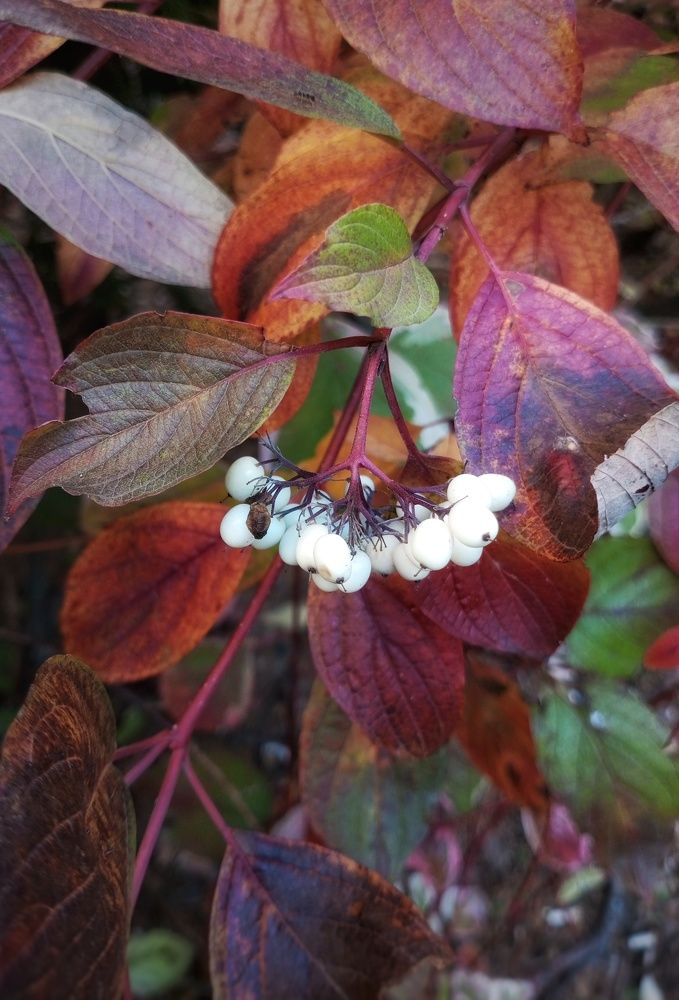 Photograph by Людмила М