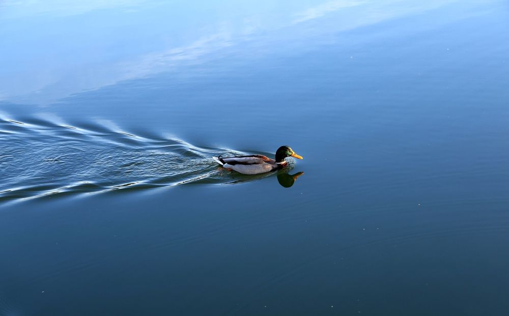 Photograph by Жанна Любимова