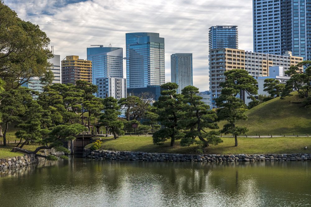 Photograph by Александр Журавлев