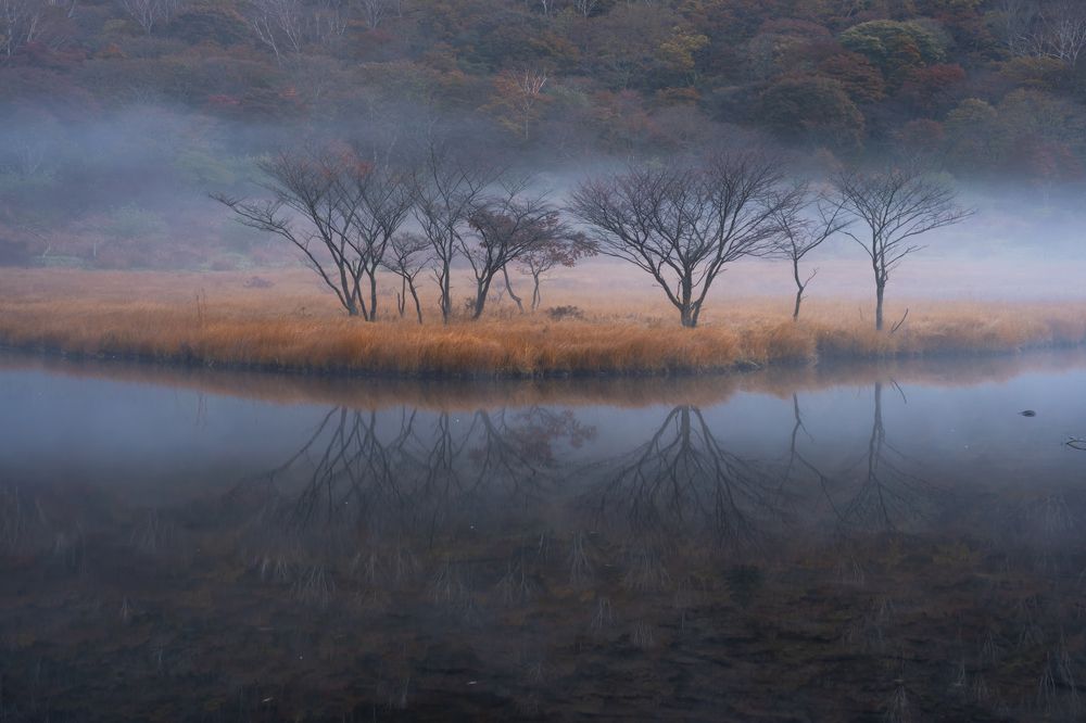 Photograph by LE HUY HUNG