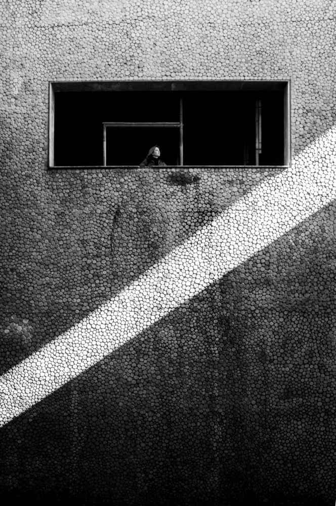 Фотография автора Marina Alves Carneiro