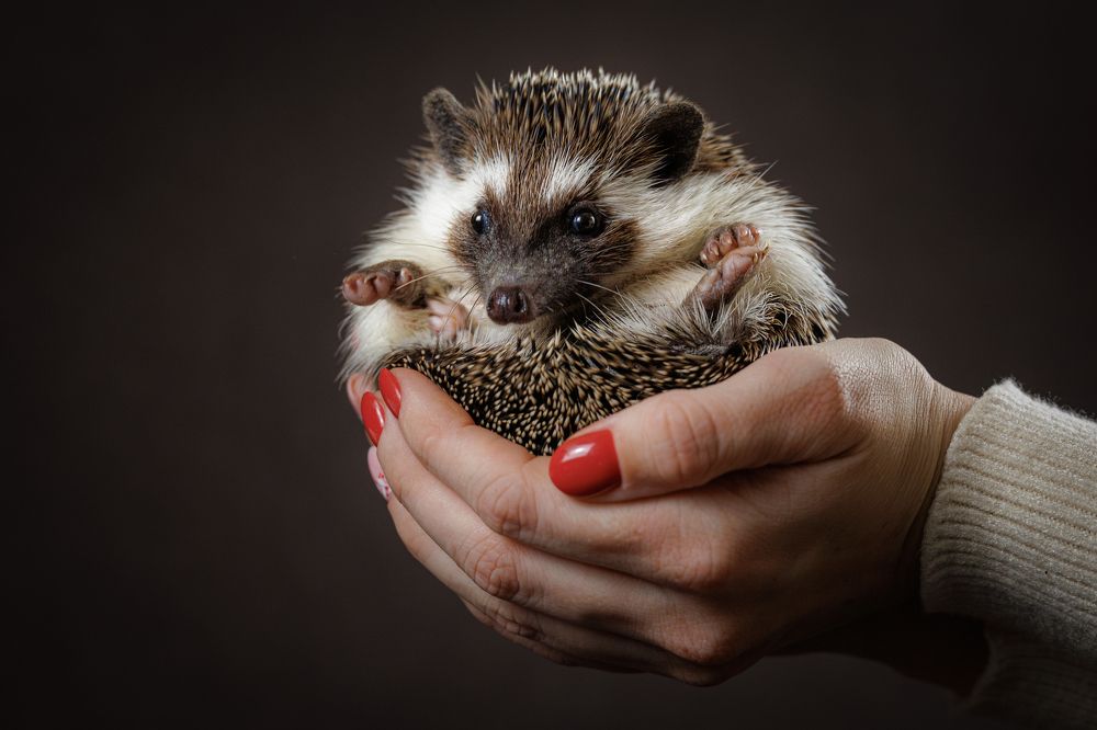 Photograph by Яна Нарбутович