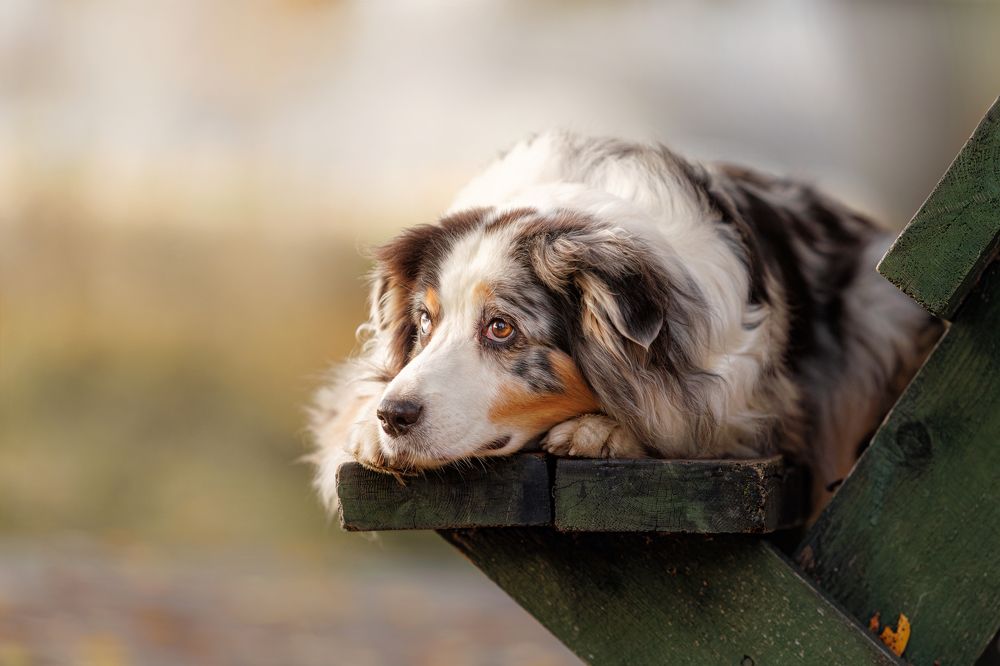 Photograph by Яна Нарбутович