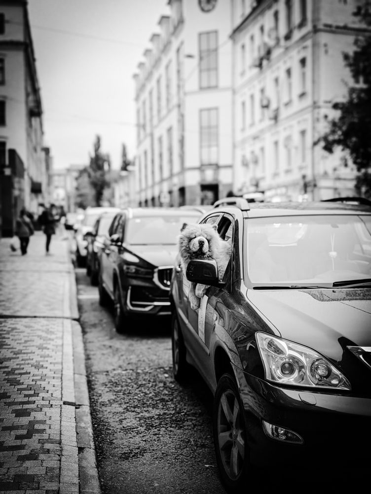 Photograph by Антон