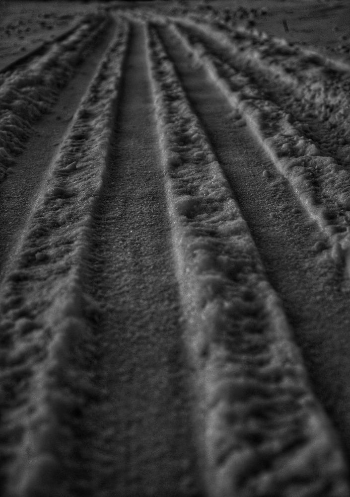 Photograph by Зыкова Мария