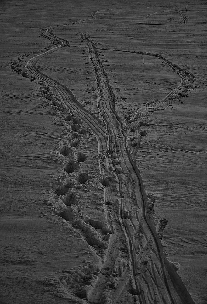 Photograph by Зыкова Мария