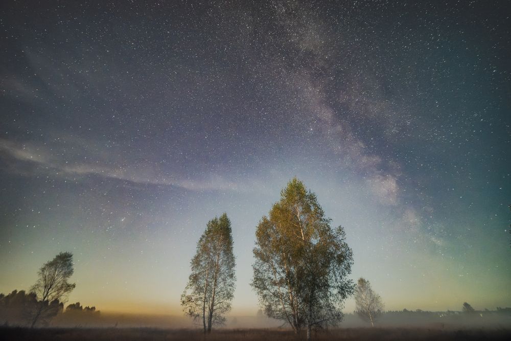 Photograph by Сергей Немцев