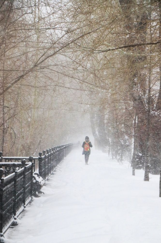 Фотография автора Анатолий Нифантов