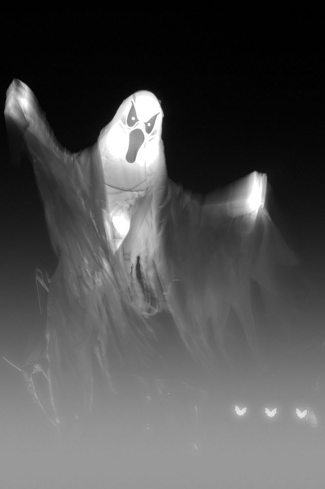 Photograph by Oleg Chemodanov