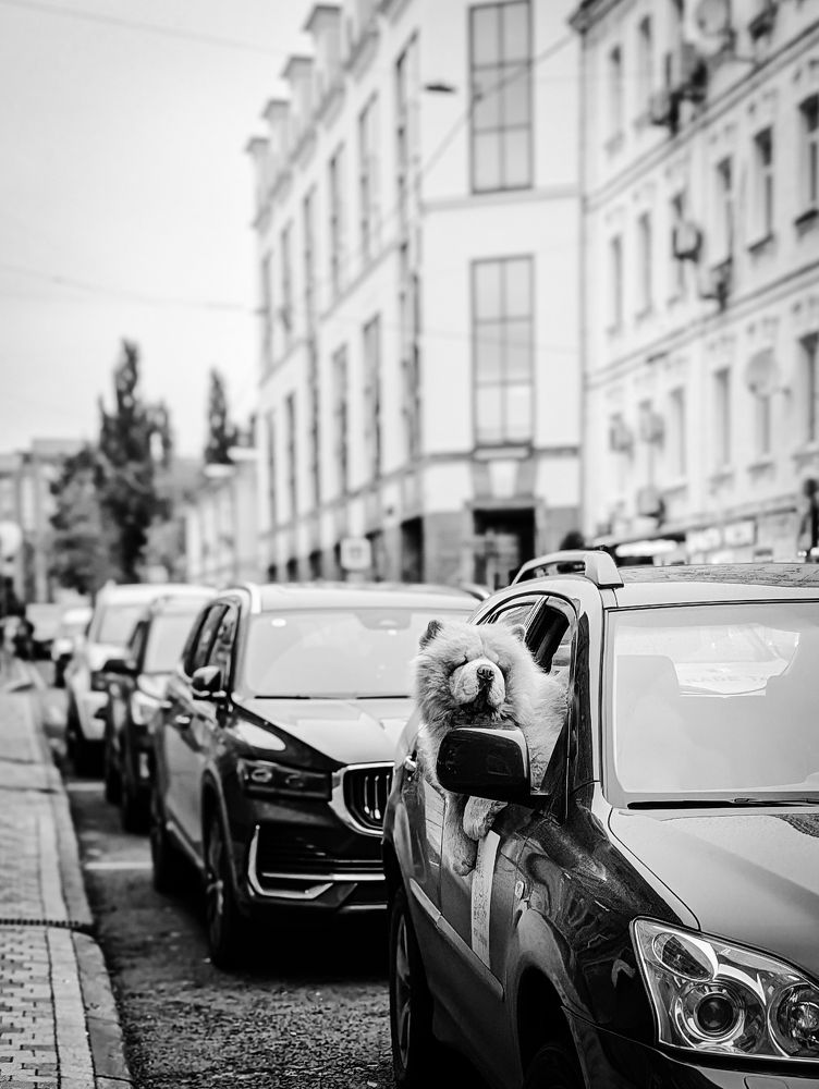 Photograph by Антон