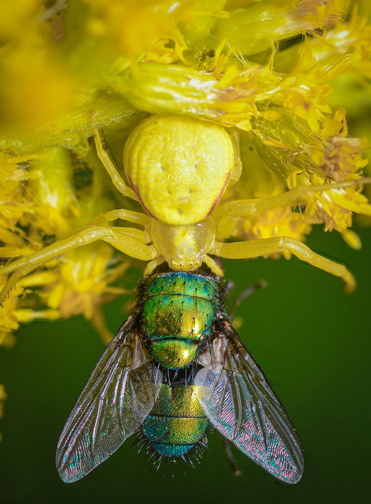 Photograph by Kasun Wickramasinghe