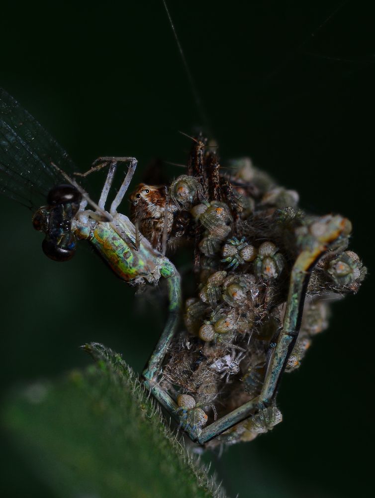 Photograph by Kasun Wickramasinghe