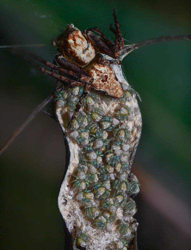 Photograph by Kasun Wickramasinghe
