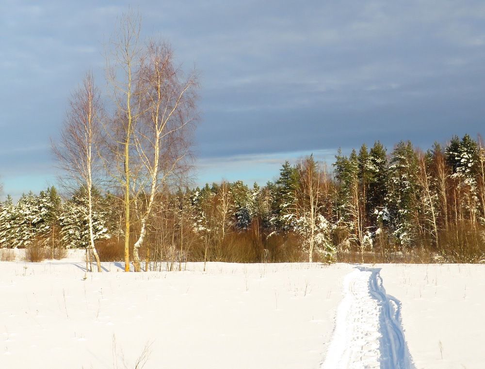 Через снежное поле