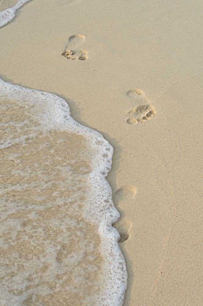 Photograph by Julia A Caesar